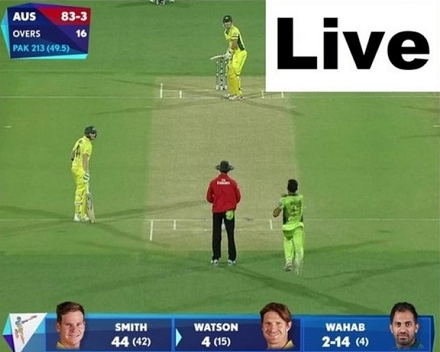 Live Cricket TV HD Free Download App Apk